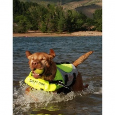 PETEGO Salty Dog Pet Life Vest жилет спасательный для собак