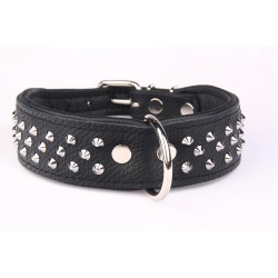 ZOOLESZCZ Ошейник для собак "Studs", черный